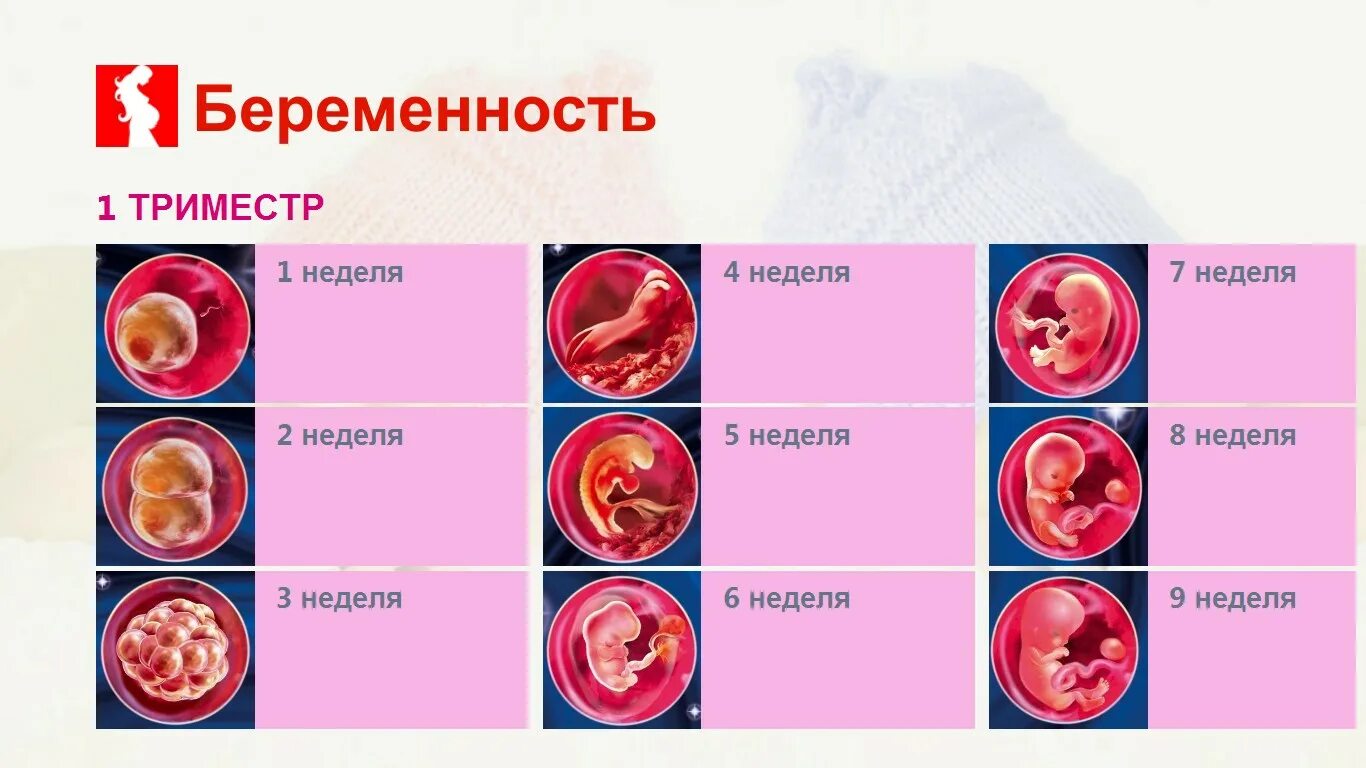 Первые недели использования