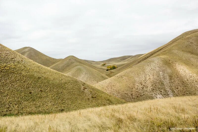 Гора долгов. Слаунская трасса долгая гора. Гора долгая Крымский район история названия.