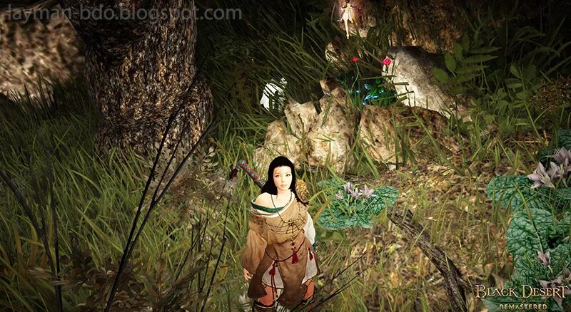 Драцена бдо. Драцена бдо. Кипарис бдо. Грана бдо карта. Гниющее ущелье бдо.