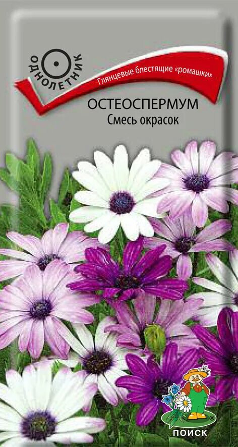Остеоспермум цветок небо и лед. Остеоспермум акила сансет. Остеоспермум цветок семена. Остеоспермум санни гранд каньон микс. Остеоспермум баллада престиж.