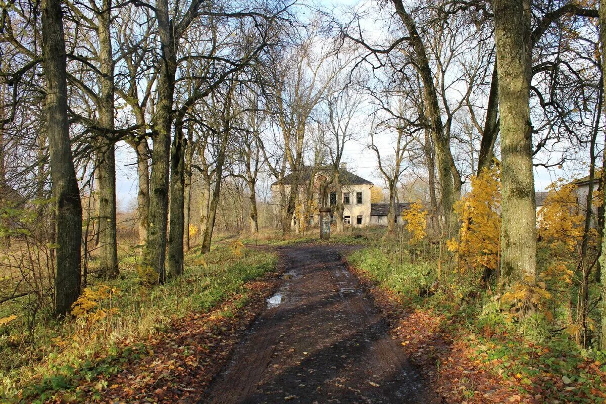 Усадьба Лапина Вильповицы. Мыза Лапина. Мыза Тульская область. Усадьба аллея Гомонтово.