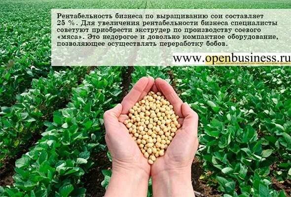 Растущую рентабельность. Условия возделывания сои. Соя условия выращивания. Технологические возделывания сои. Технология выращивания сои.