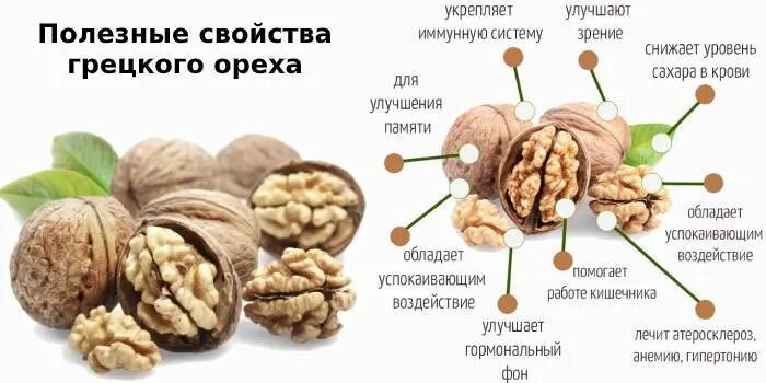 Чем полезен грецкий орех. Грецкий орех полезные свойства. Что полезного в грецких орехах. Свойства грецкого ореха для мужчин. Чем подезны грецкие орех.