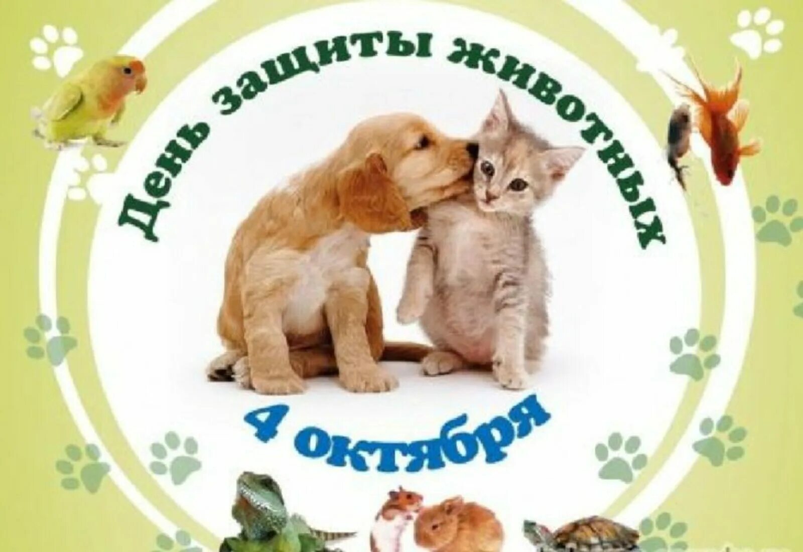 Группа защиты животных. Деньзащититы животных. всемирный день животных. всемирный день домашних животных. 4 октября день защиты животных.
