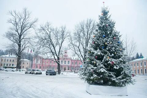 Января главная