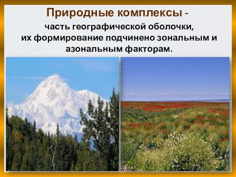 Как соотносится понятие природный комплекс природная зона. Природные комплексы. Зональные природные комплексы. Зональные и азональные природные факторы. Природные комплексы Восточно европейской равнины.