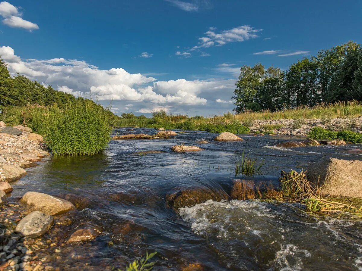 Фото реки. Река Вожа Рязанская область. Река Увелька. Река Увелька Кичигино. Вода река.