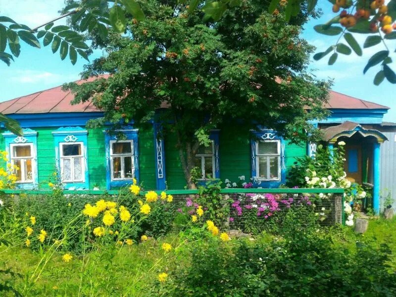 Село Плесс Мокшанский район. Село Плесс Мокшанский район Пензенская область. Школа Плесс Мокшанский район. Мокшан деревня. Купить дом мокшан пензенской