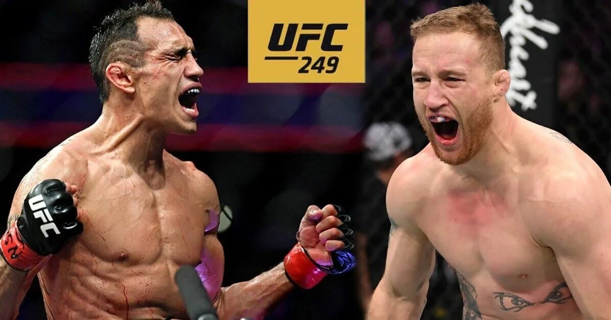 Фергюсон прямой эфир. Фергюсон прямой эфир. Боец ufc тони фергюсон спина. Тони фергюсон джастин гейджи. Тони фергюсон гейджи бой.