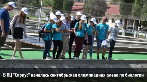 Сборы сентябрь 2024