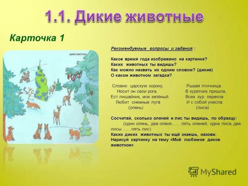 как понять слово дикая. как понять слово дикая. слово дикий. как понять слово дикая. дикой и кабаниха в пьесе гроза.