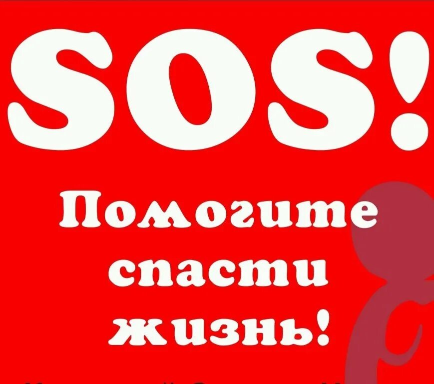 Помоги спасти жизнь. Сос помогите спасти. сос помогите спасти жизнь. ситуация сос. мега сос.