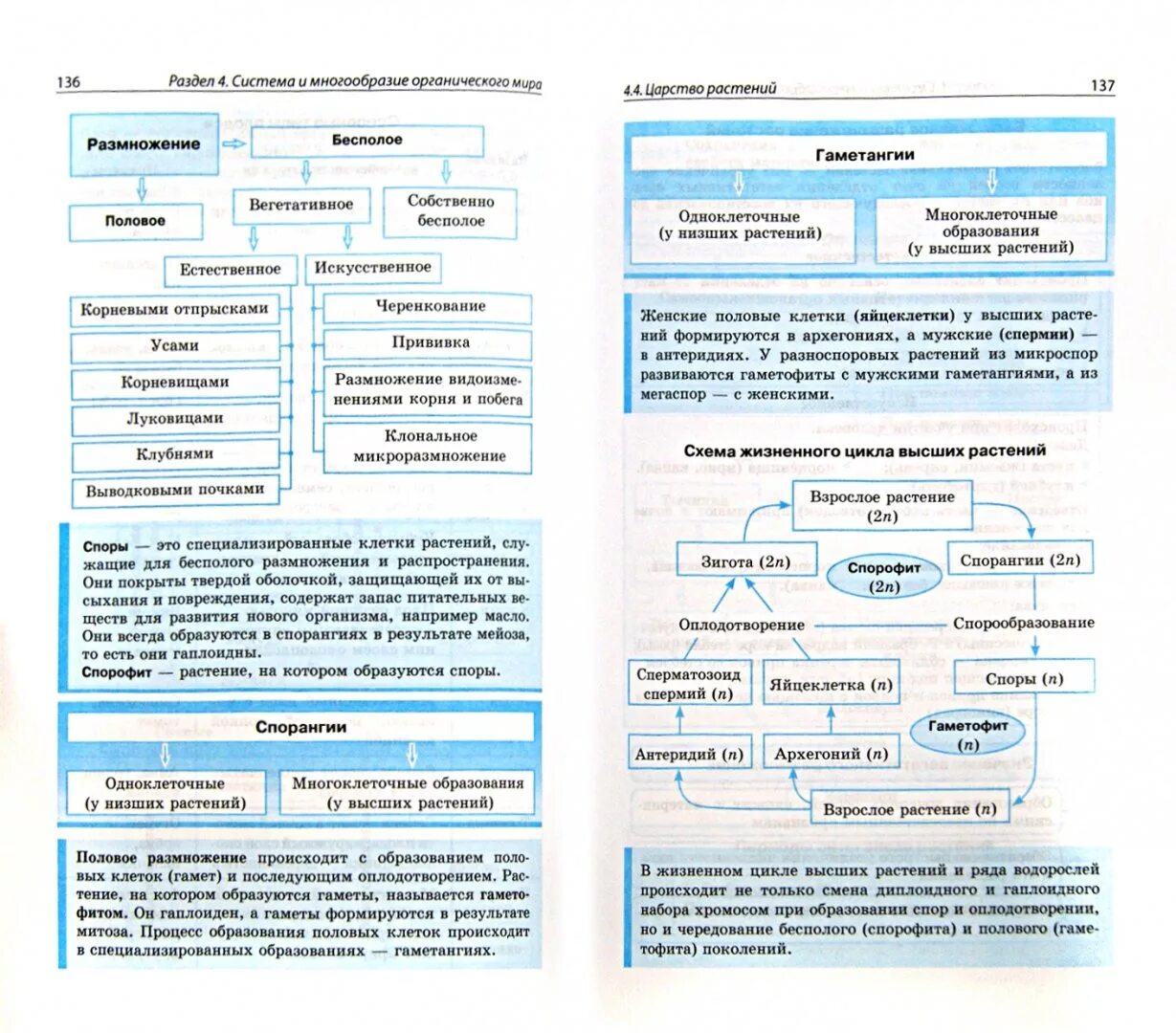 Биология. Шпаргалка. Шпаргалки по биологии. ЕГЭ биология ботаника в схемах и таблицах. Шпоры по биологии ЕГЭ. Шпоры по биологии огэ