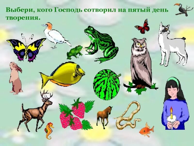 Сотворил из ничего