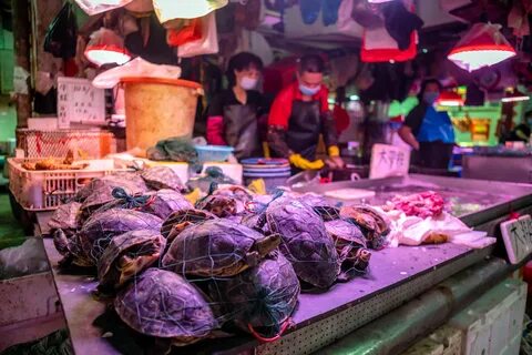 China market