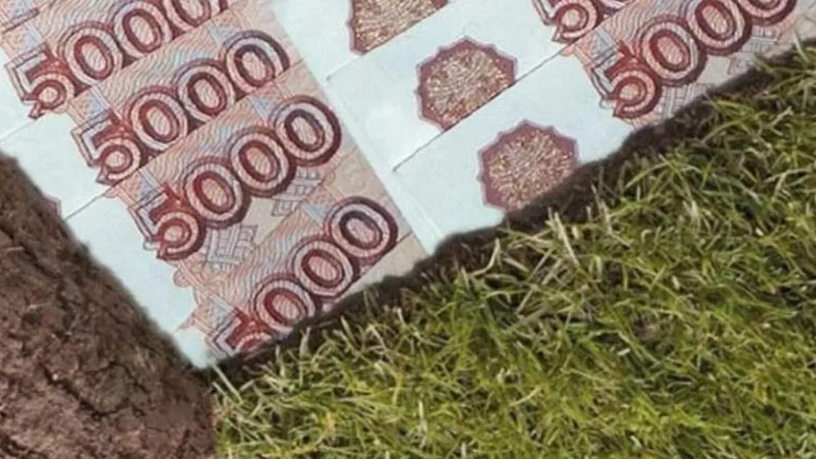 Можно ли получить деньги вместо земельного участка. Земельный участок деньги. деньги вместо земли. деньги вместо участка для многодетных. деньги за земельный участок.