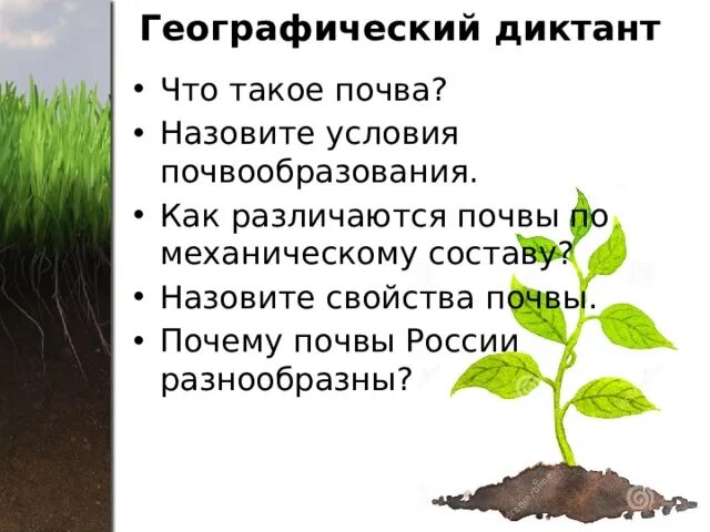Рэш почвы 8 класс. Почва 8 класс. почвы география 8 класс.