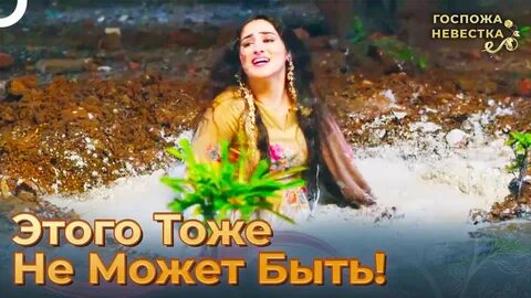 Госпожа невестка сколько