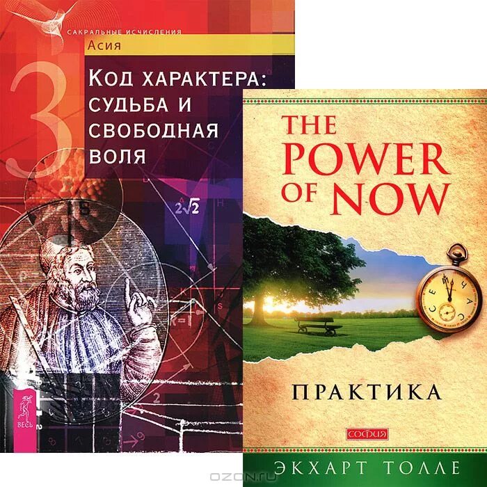 Экхарт Толле the Power of Now. The Power of Now. Практика Экхарт Толле книга. Экхарт Толле практика. Экхарт Толле сила настоящего практика. Озон купить учебник