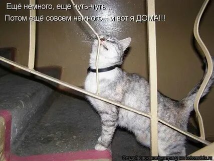 Чуть чуть то это не