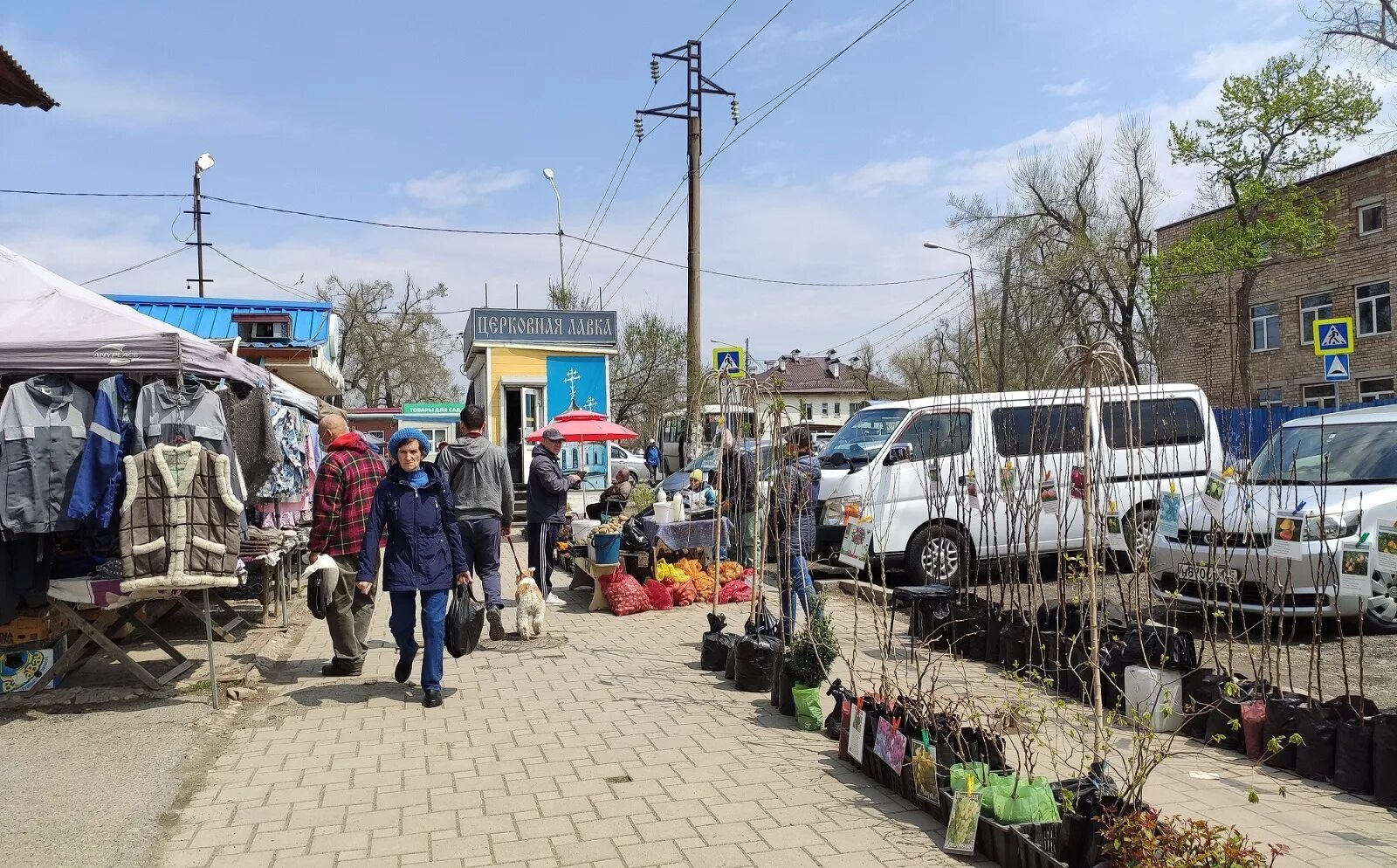 Станция угольная Владивосток. П Трудовое Владивосток. Рынок саженцев. Улица угольная Владивосток.