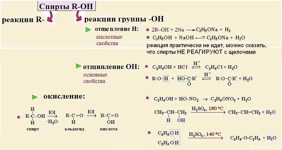 При реакции кислот и спирта образуются. Основные реакции спиртов. Схема реакции дегидратации спирта.