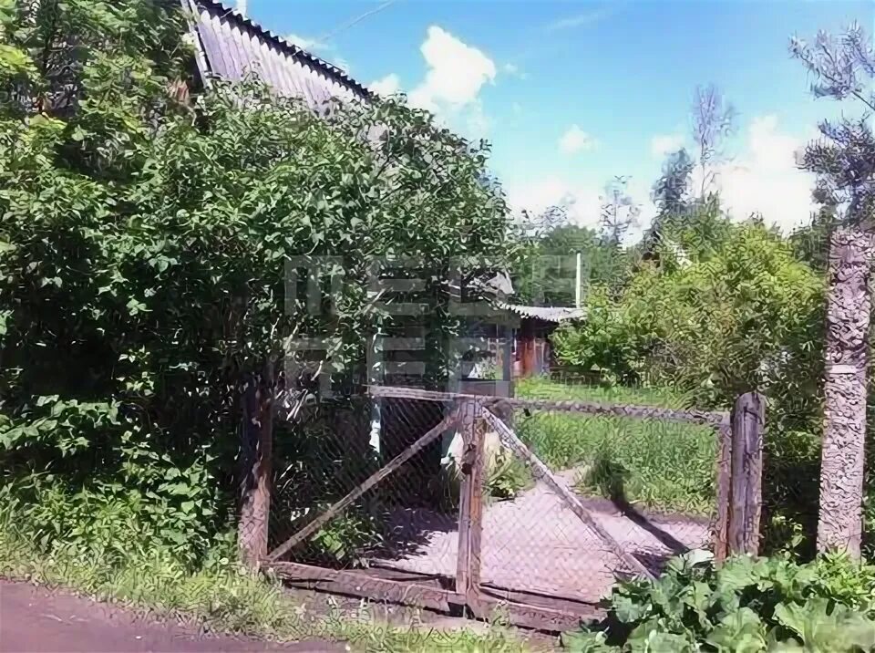 Посёлок вороново снт заря. Дача заря 3. Снт заря 43753. Щелково снт заря-1. Снт заря елец.