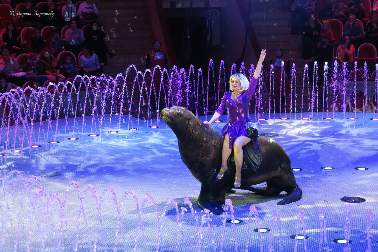 цирк одиссея. цирк на фонтанке шоу. принц цирка шоу фонтанов спб. цирк на фонтанке санкт-петербург шоу фонтанов. принц цирка шоу фонтанов спб.