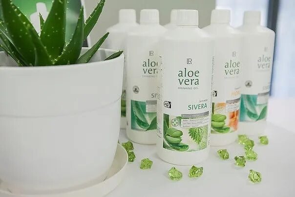 Lr aloe vera