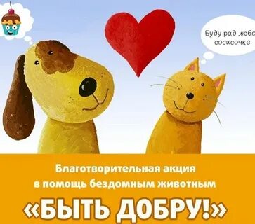 Акция помоги бездомным животным
