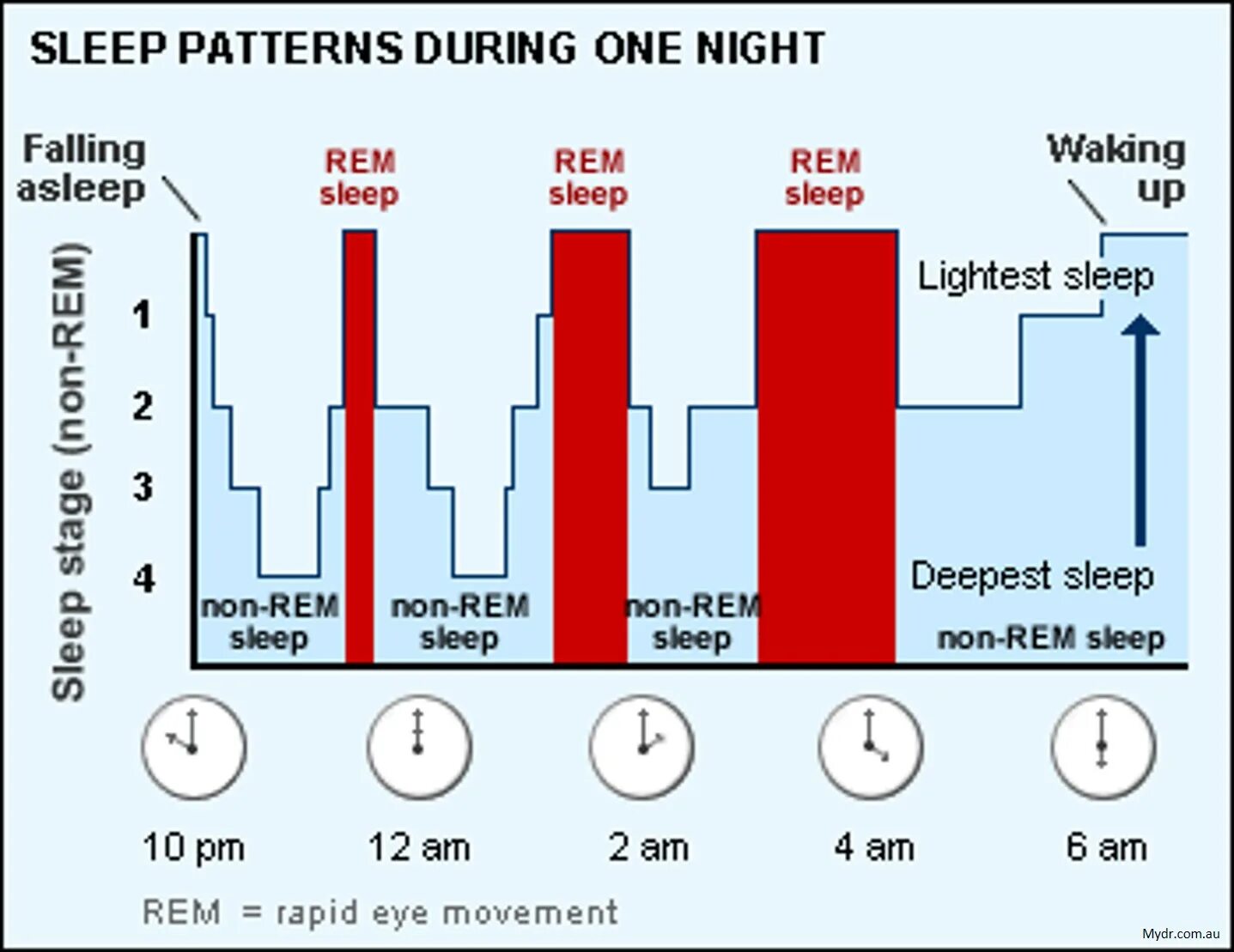 Non Rem Sleep. Non Rem сон. Rem фаза сна. Стадии non Rem сна.