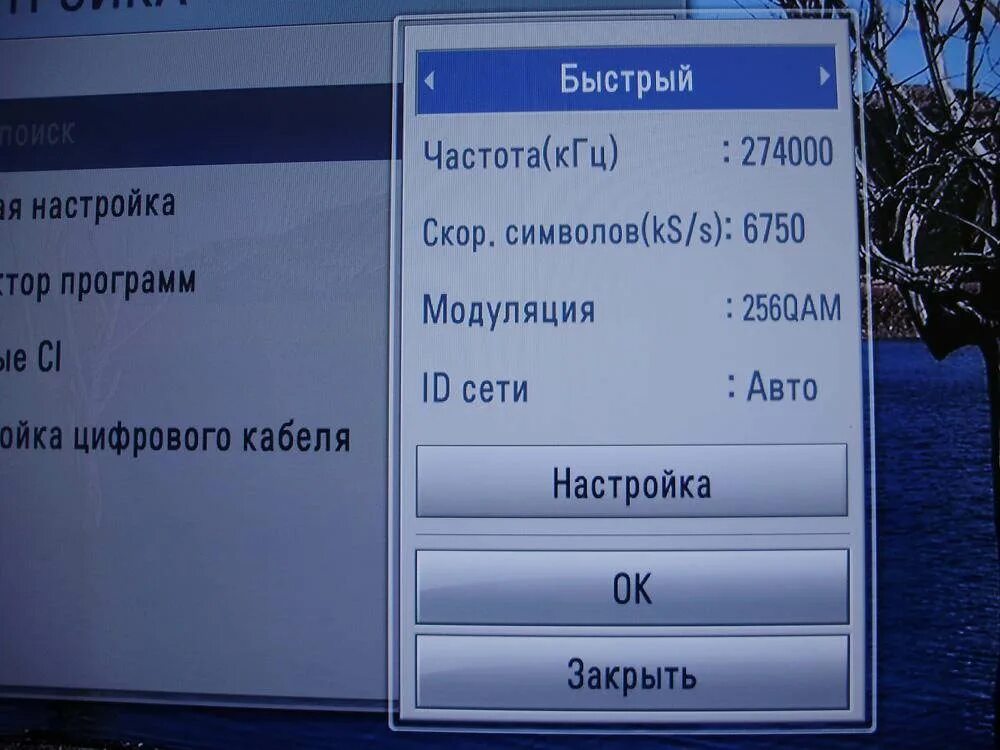 Как настроить каналы частоты. Настройка цифрового телевидения. Параметры цифрового телевидения. Как настроить цифровые каналы на телевизоре. Параметры настроек цифрового телевидения на телевизоре.