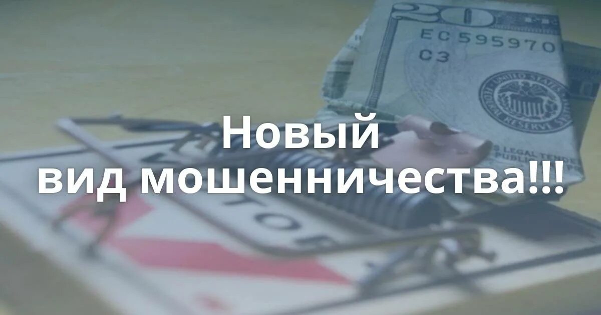 Внимание новый вид мошенничества. Новый вид мошенничества. Мошенники новые виды мошенничества. Новый вид мошенничества картинки.