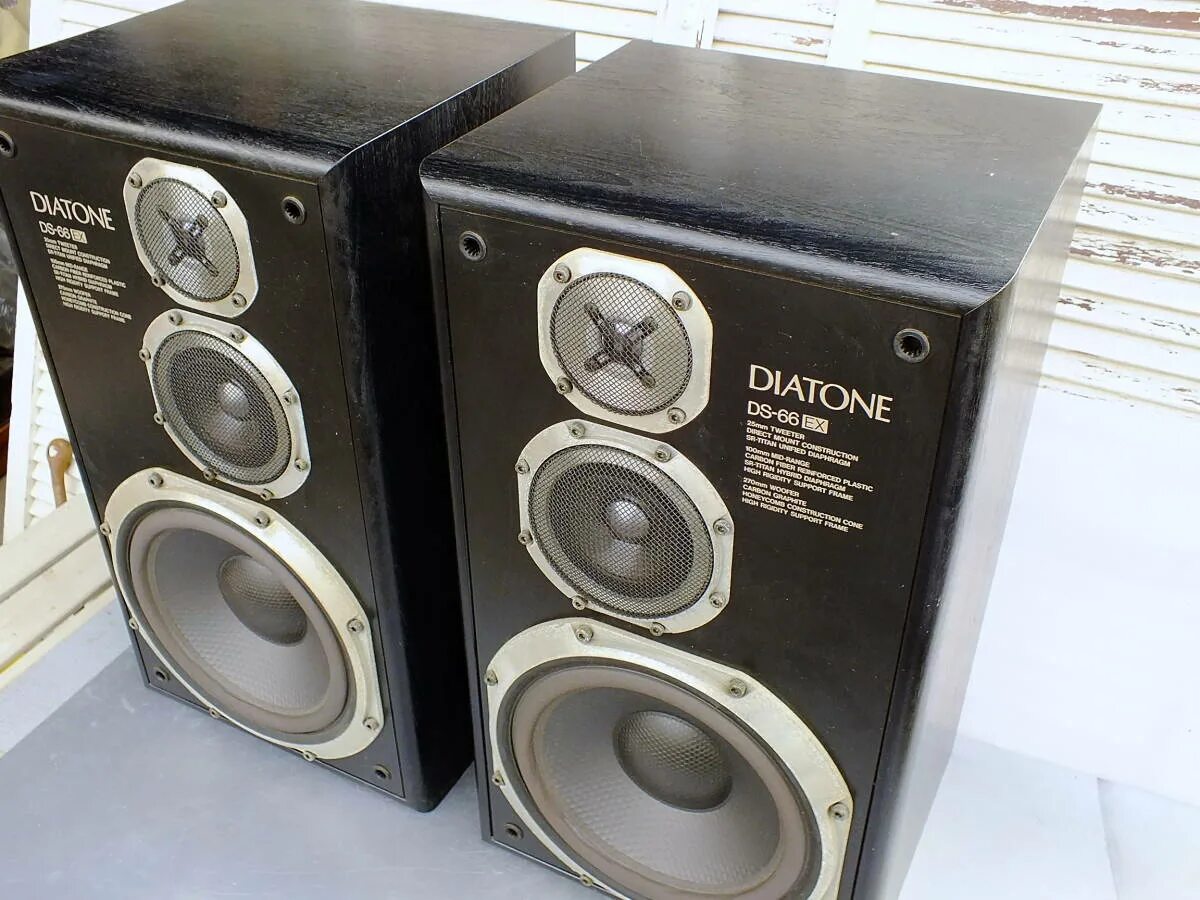 Echo acoustic ex115p
