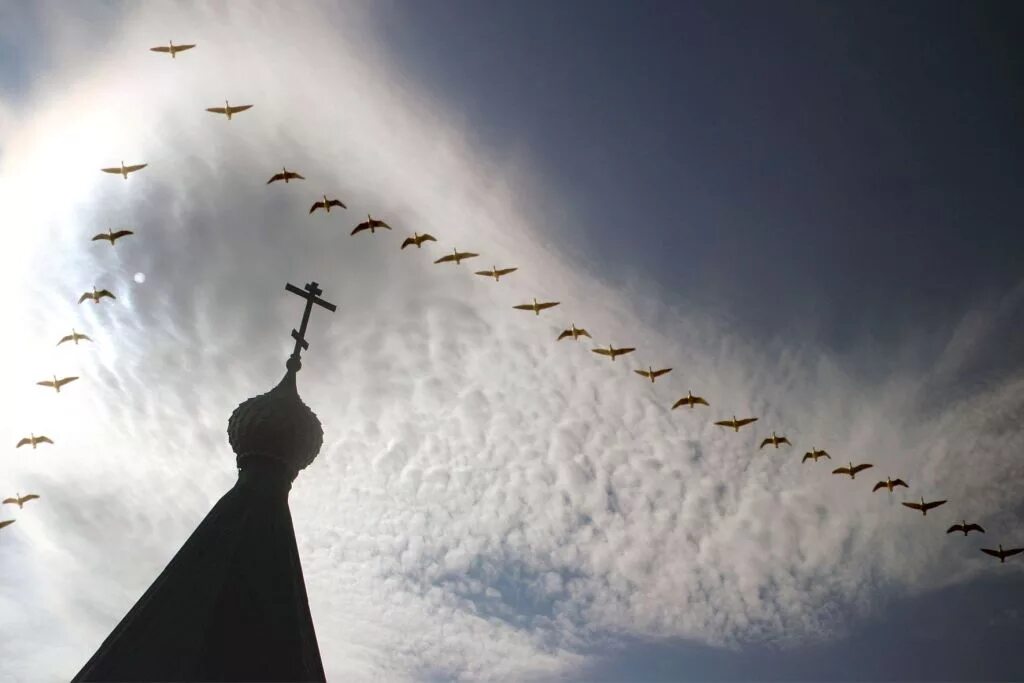 летать в облаках. свобода птица в небе. ввысь подняться в высь небесную взлететь. взлетел в высь. взлетел в высь.