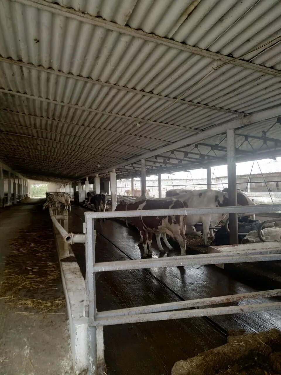 герб колхоза. колхоз племзавод имени чапаева ставропольский край сайт. колхоз племзавод имени чапаева. ивановское чапаева колхоз племзавод. колхоз имени чапаева ставропольский край кочубеевский район.