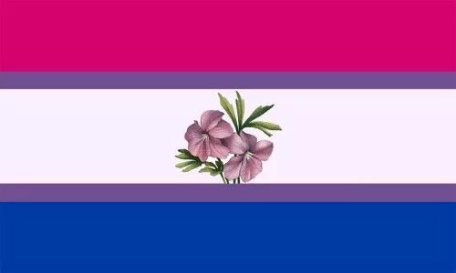 Сапфик флаг. Sapphic флаг. сапфичный флаг. флаг сапфичных женщин. флаг бамбук сапфичных.
