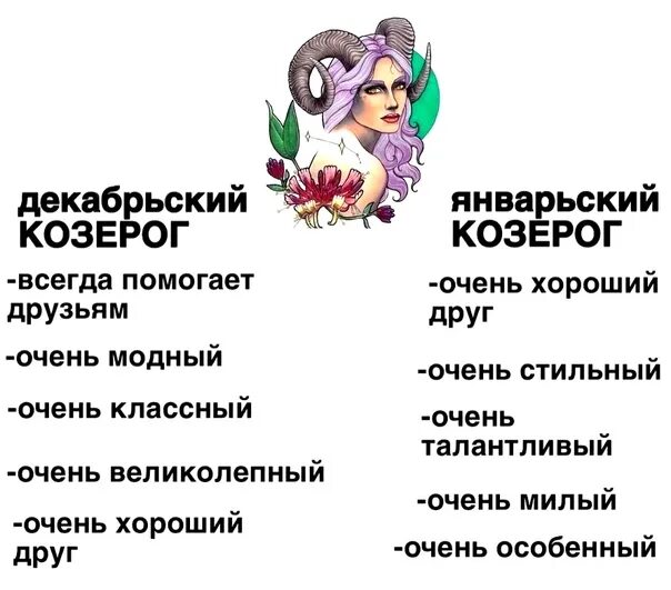 Январские козероги мужчины. Декабрьский Козерог. Январский Козерог. Козерог характер. Январский Козерог женщина.