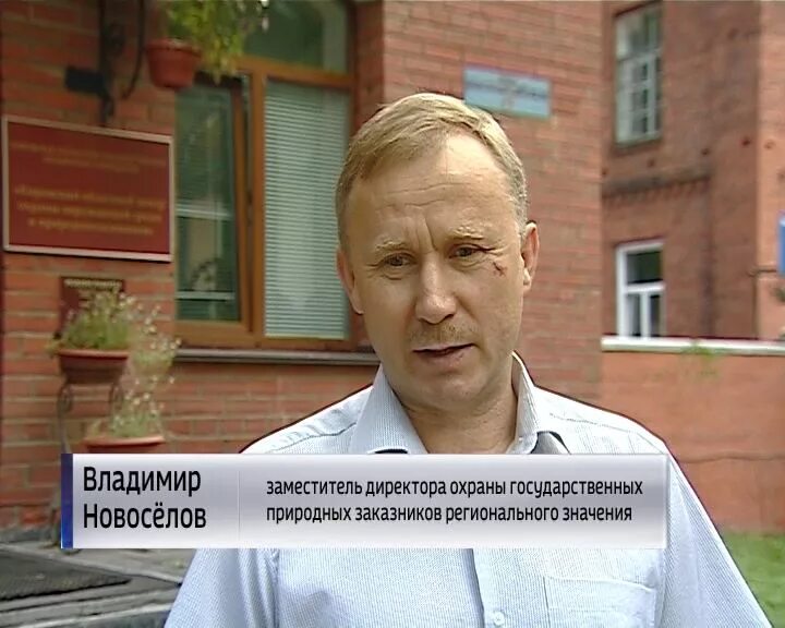 Заместитель директора по экономике и финансам структура и отделы. Должностная инструкция начальника ахо. Должностная инструкция заместителя директора школы. Заместитель директора по безопасности в школе. Заместитель директора по охране.