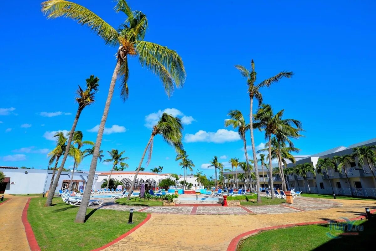 Del caribe куба. Бризас дель карибе 4 варадеро. варадеро куба карибы. отель brisas del caribe 4 куба варадеро. экскурсия на карибы из варадеро.