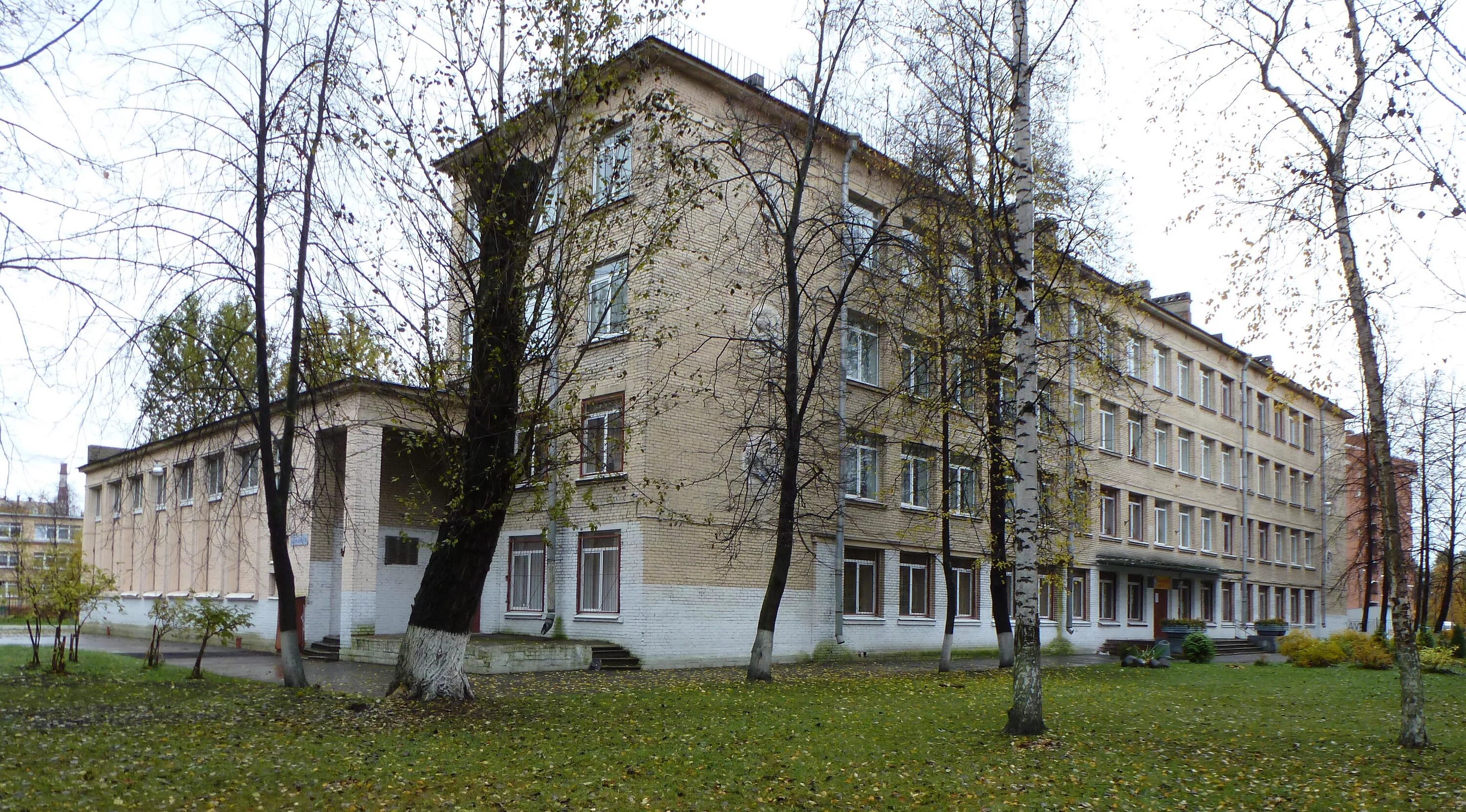 Школа 491 санкт-петербург проспект шаумяна. 168 гимназия санкт-петербург. 491 школа питер. 491 школа красногвардейского. Энергетиков 9 школа.