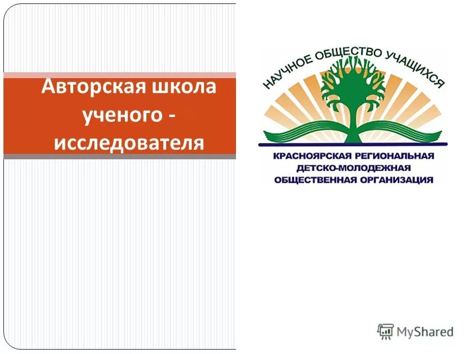 признаки авторской школы. цели и основы авторской школы. классификация авторских школ. общая характеристика авторских школ. авторская программа цель и задачи.