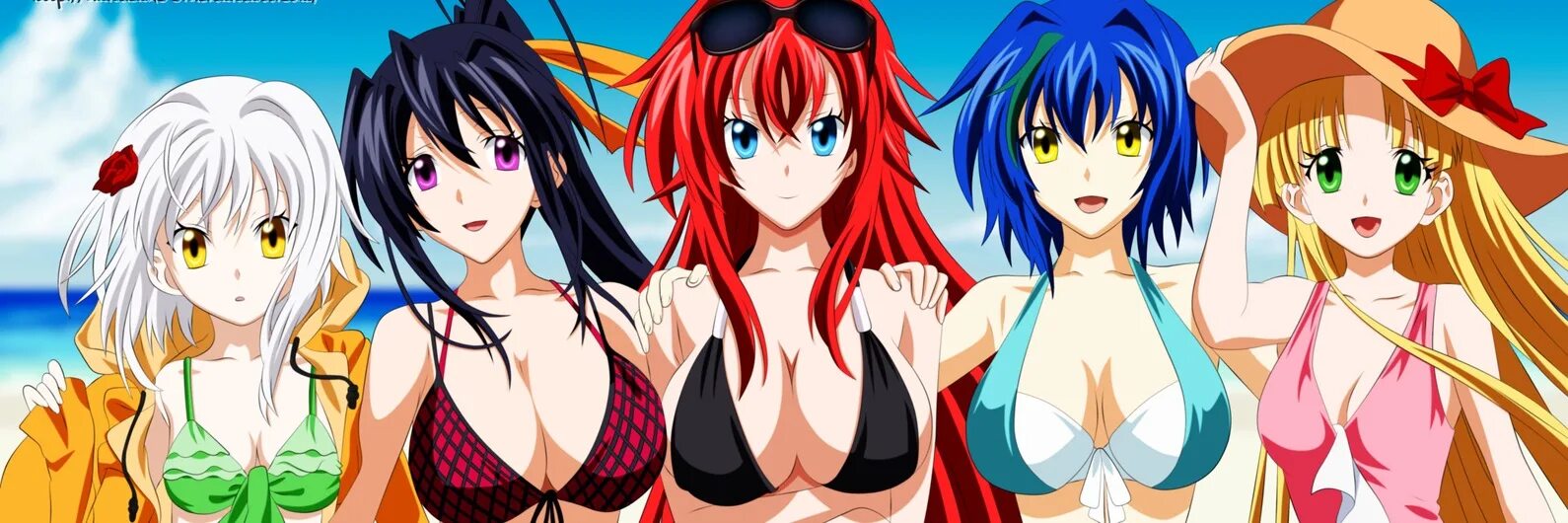 High School DXD («старшая школа DXD», 2012). High School DXD гарем купальники. Школа демонов против падших