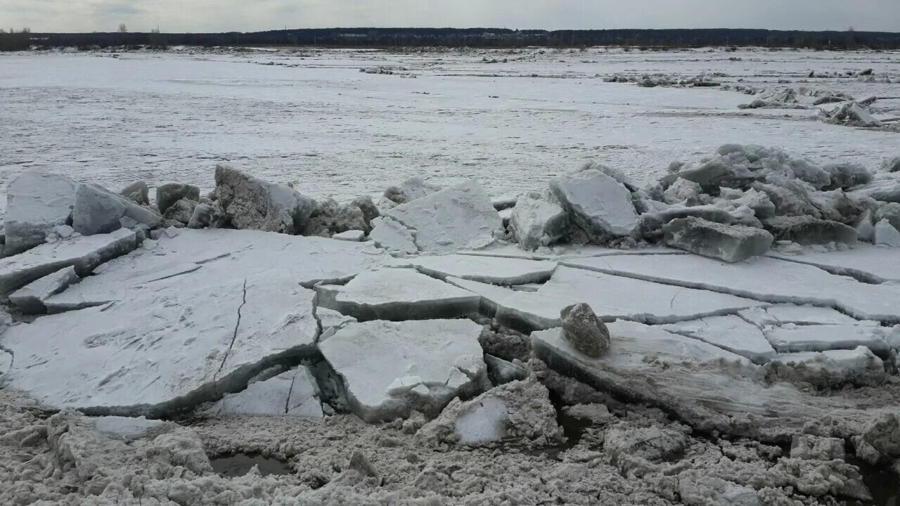 Как называется когда лед тронулся. Ледоход томск. подвижки льда. лед на реке тронулся. тронулся лёд на волге.