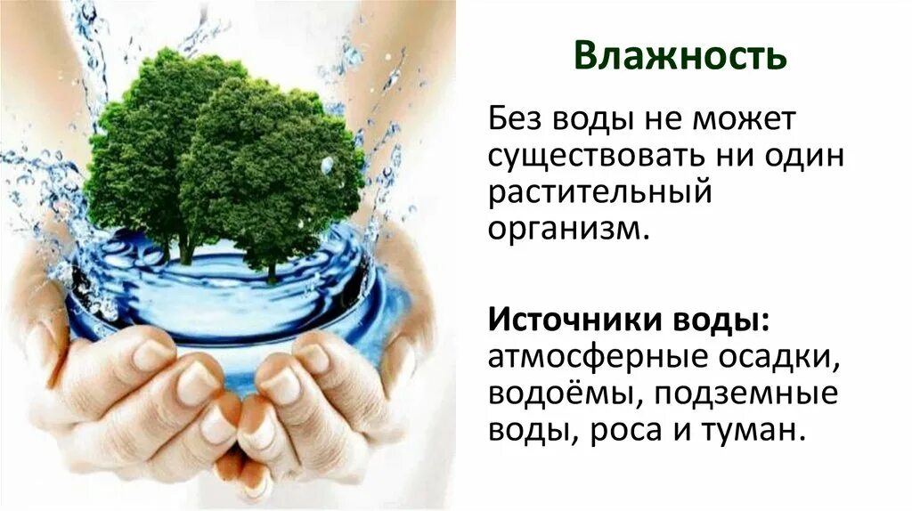 Факторы среды вода влажность. Влияние человека на растения. Влияние воды на растения. Вода как фактор окружающей среды. Влияние влажности на живые организмы.