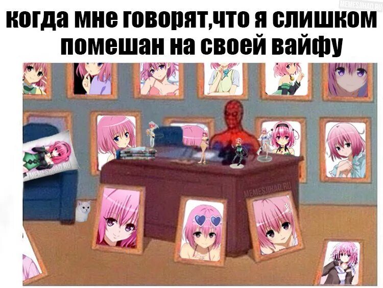 Waifu перевод. Вайфу. Идеальная вайфу. Вайфу Мем. Кто такая вайфу.