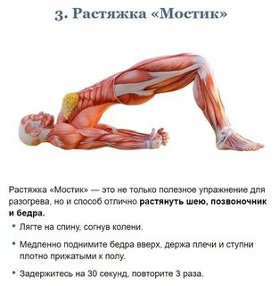 Растяжка почему полезно
