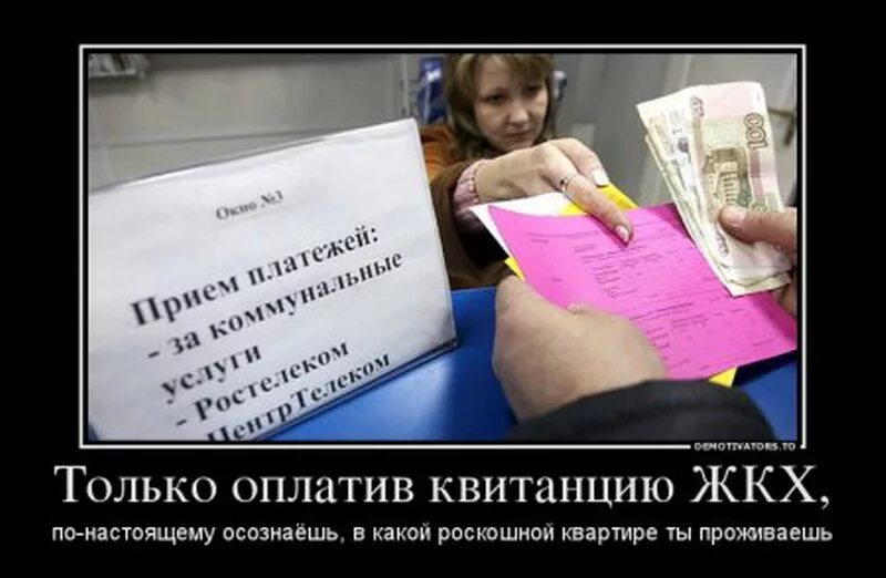 Мы платим только за