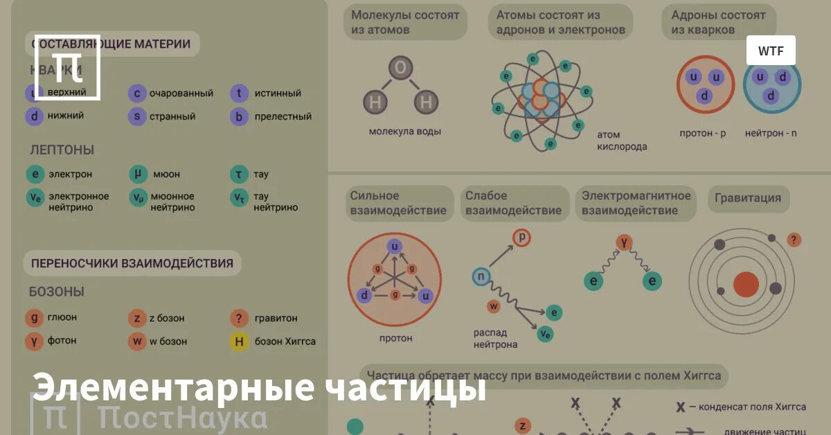 Элементарные частицы кварки и лептоны. Структура элементарных частиц физика. Строение элементарных частиц. Из чего состоят элементарные частицы. Таблица частиц атомов