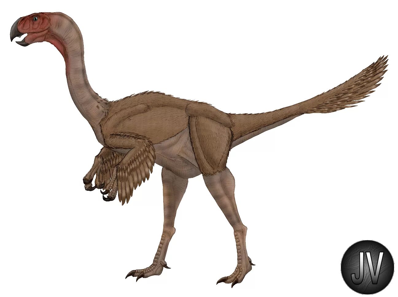 Гигантораптор арк. Gigantoraptor erlianensis. Гигантораптор динозавр. Гигантораптор Carnivores.